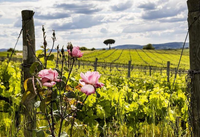 호텔 Villa Loggio Winery And Boutique