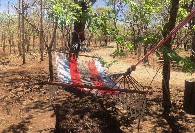 ホテル Finca Avellanas