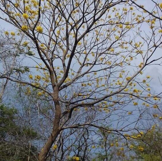 ホテル Finca Avellanas