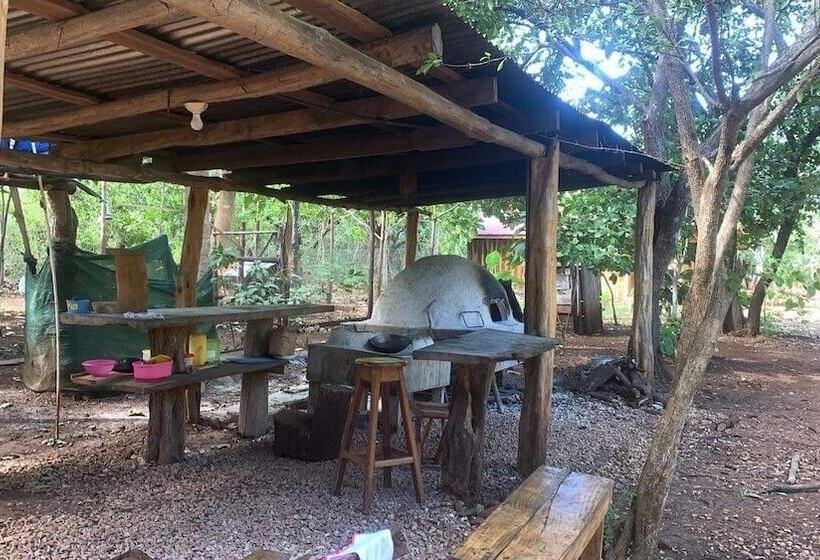 ホテル Finca Avellanas