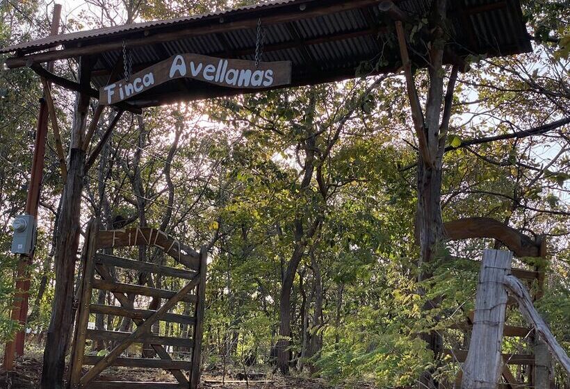 ホテル Finca Avellanas