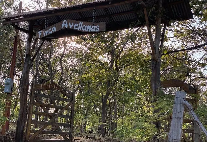 هتل Finca Avellanas