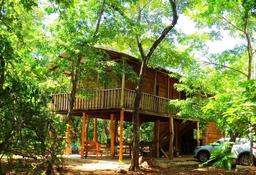 هتل Finca Avellanas