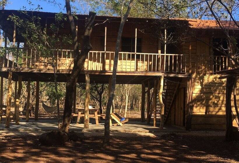 ホテル Finca Avellanas