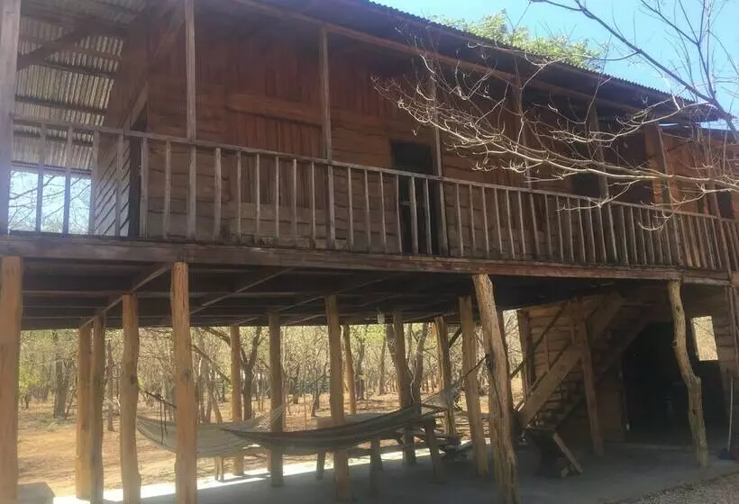 هتل Finca Avellanas