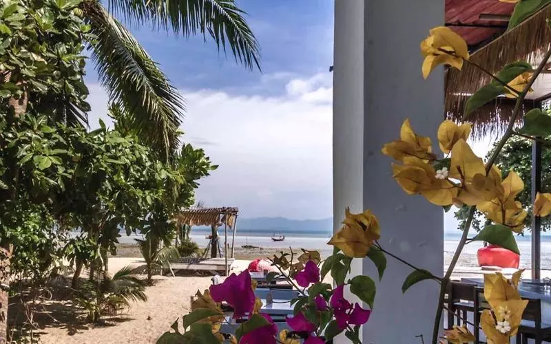 Hostel Dancing Elephant Beach Club