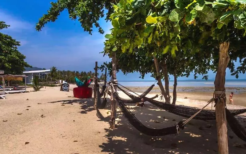 Hostel Dancing Elephant Beach Club