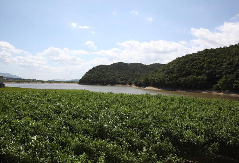 Bed and Breakfast Millennium Smile Pension