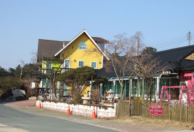 مبيت وإفطار Millennium Smile Pension