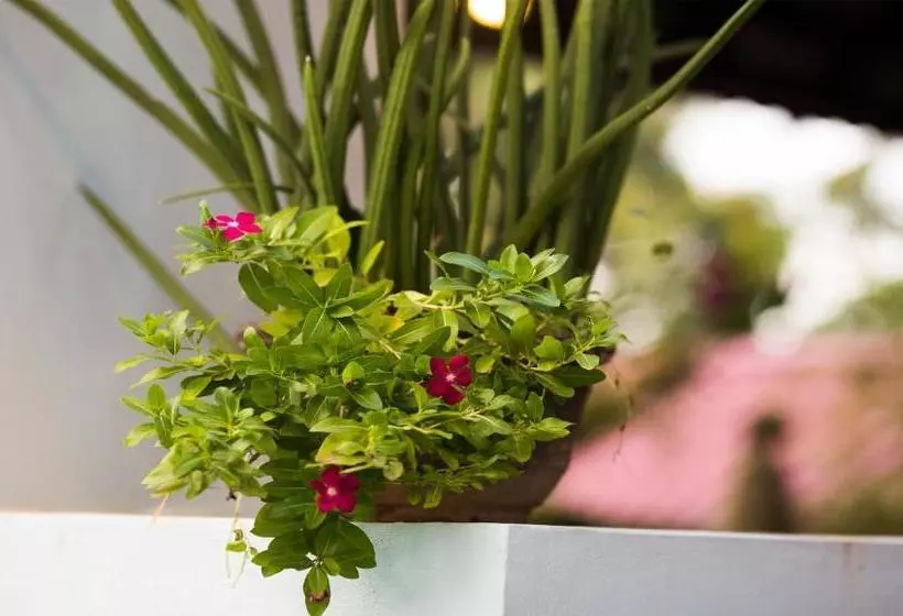 هتل Angkor Ry Boutique