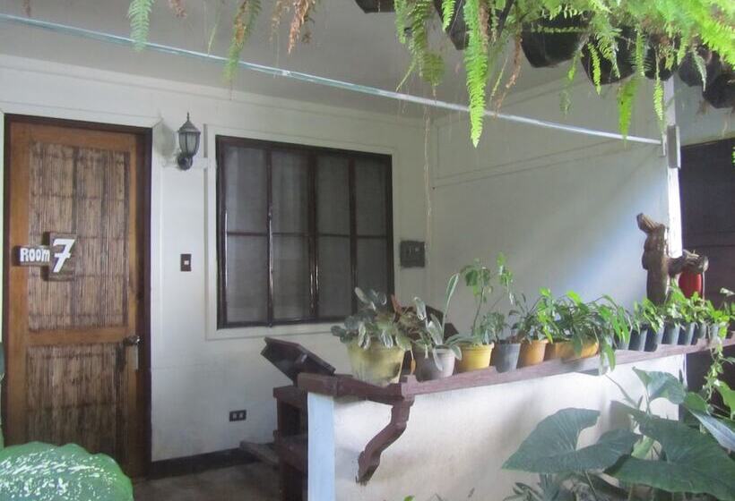 酒店 Islandfront Cottages