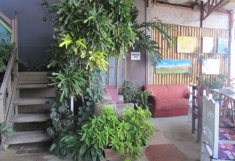 酒店 Islandfront Cottages