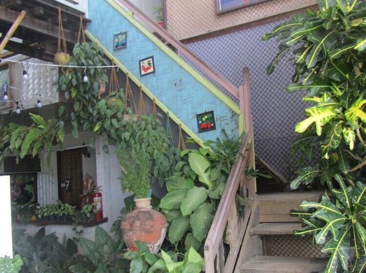 酒店 Islandfront Cottages