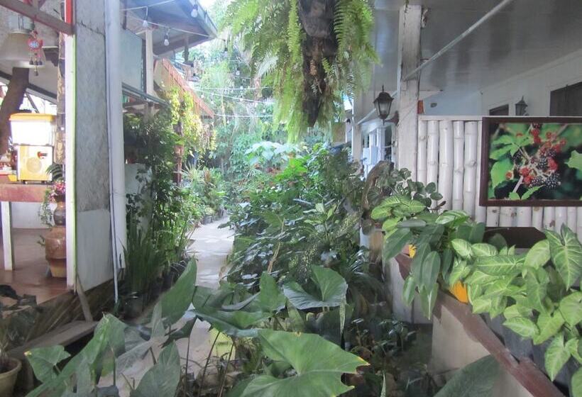 酒店 Islandfront Cottages