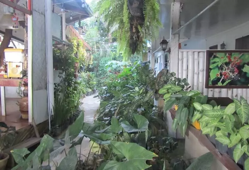 فندق Islandfront Cottages