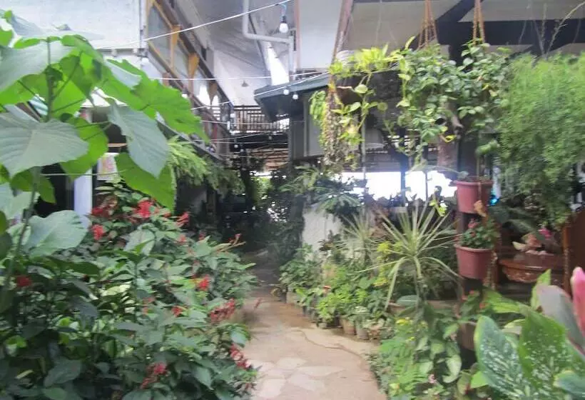 فندق Islandfront Cottages