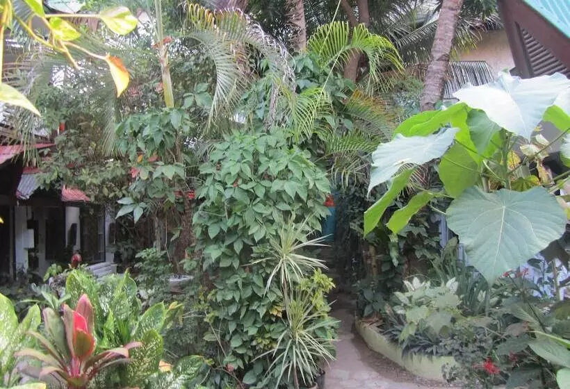 فندق Islandfront Cottages