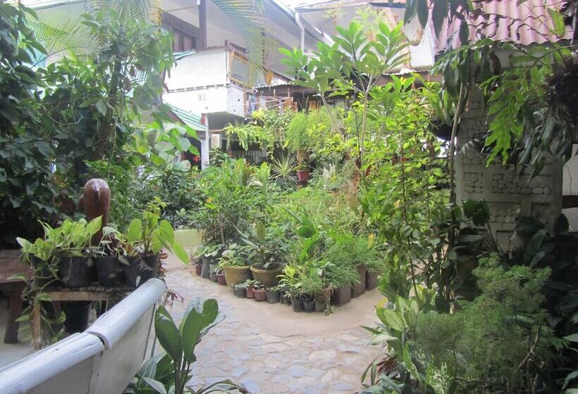 酒店 Islandfront Cottages