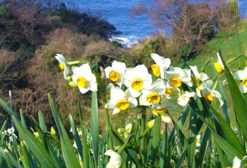 Hotel Kyukamura Echizenmikuni