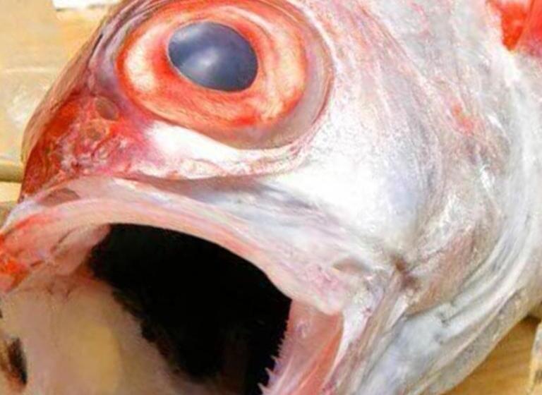 Hotel Kyukamura Echizenmikuni