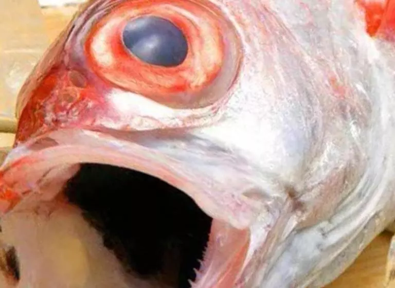 Hotel Kyukamura Echizenmikuni