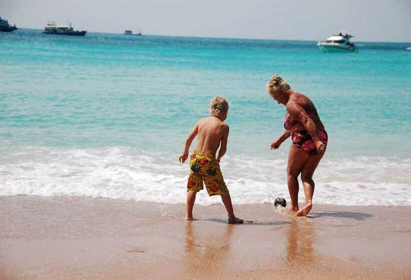 Palm Leaf Resort Koh Tao