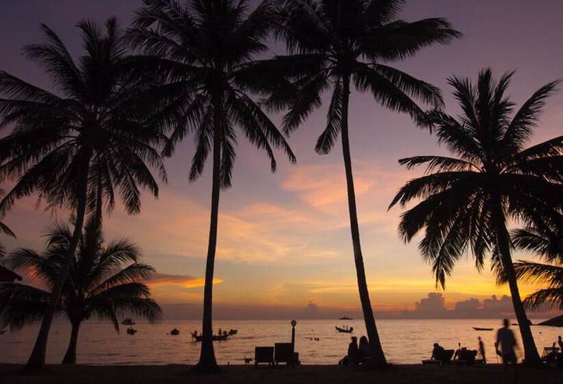 Palm Leaf Resort Koh Tao