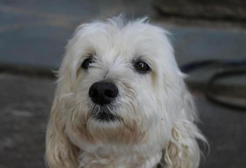 هتل Chambres D Hôtes Le Clos Des Oliviers