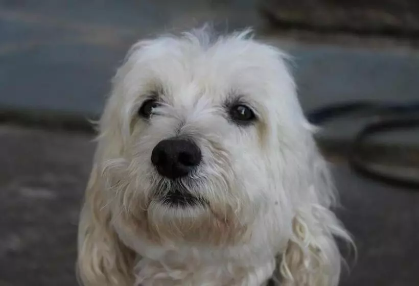 هتل Chambres D Hôtes Le Clos Des Oliviers