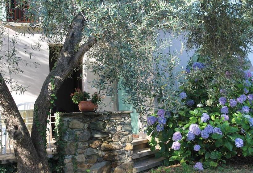 هتل Chambres D Hôtes Le Clos Des Oliviers