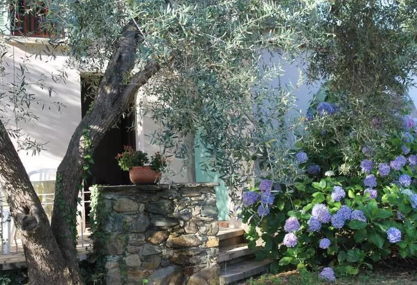 هتل Chambres D Hôtes Le Clos Des Oliviers