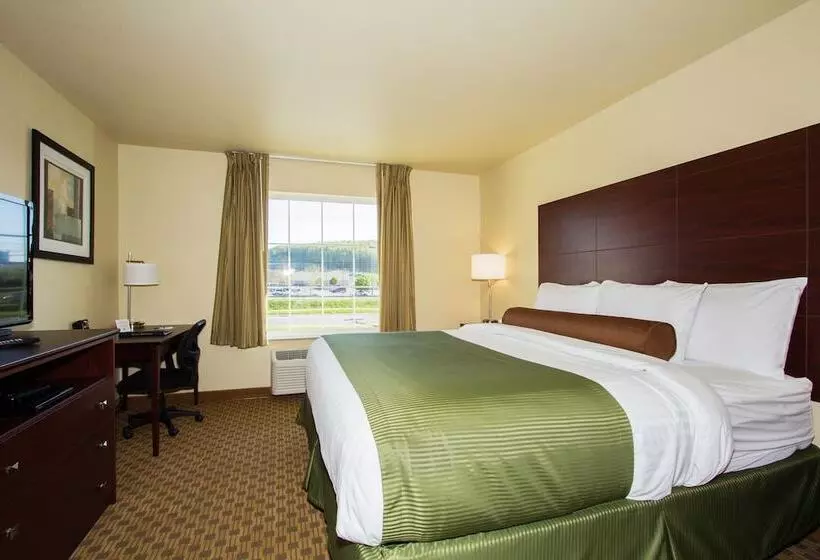 Отель Cobblestone Inn & Suites  Corry