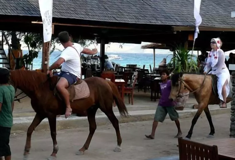 ホテル Gili T Resort