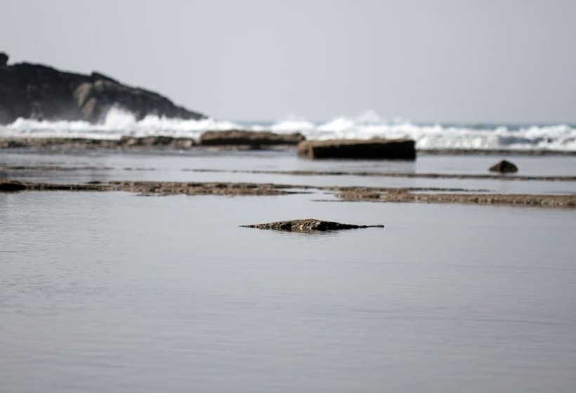 فندق Koru Beach Club