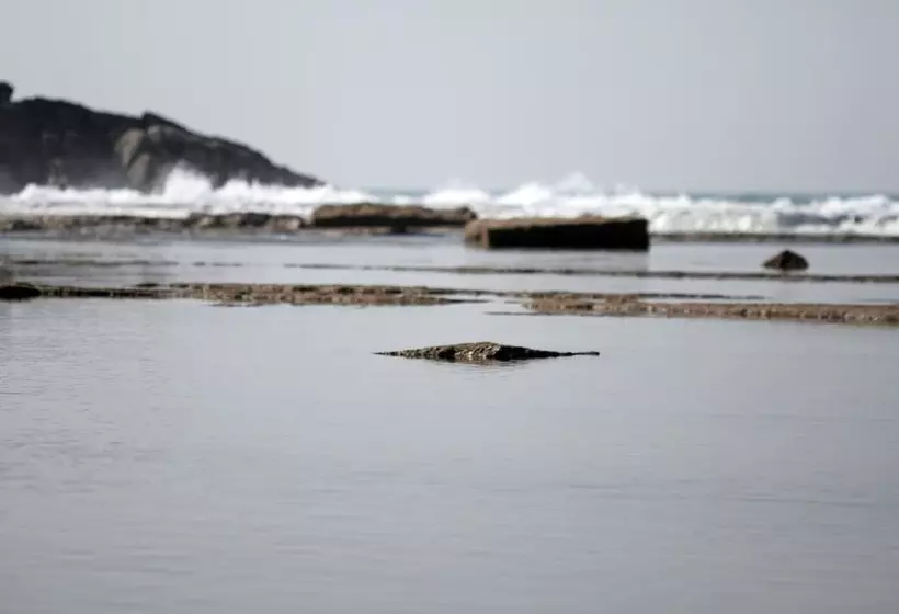 هتل Koru Beach Club