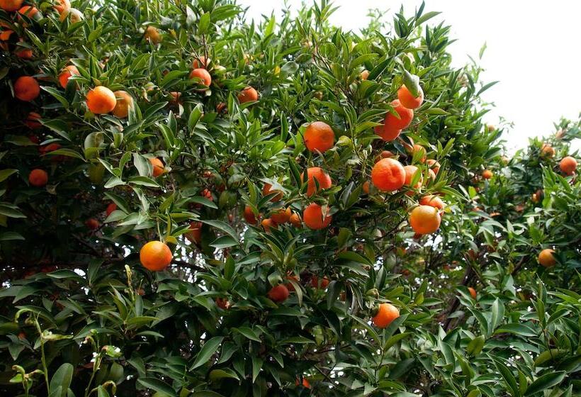 فندق Koru Beach Club