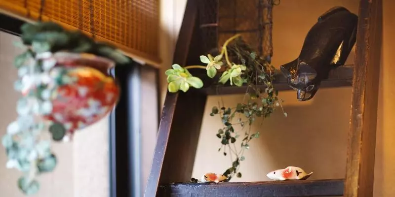 בית מלון כפרי Miyako