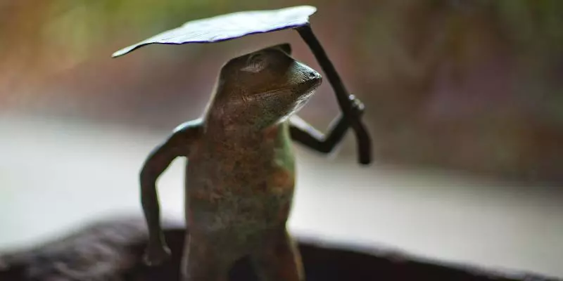 בית מלון כפרי Miyako