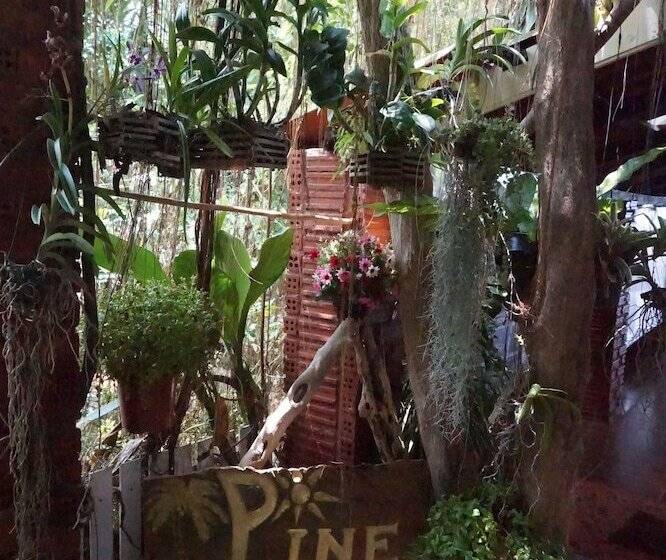 酒店 Pine Bungalow