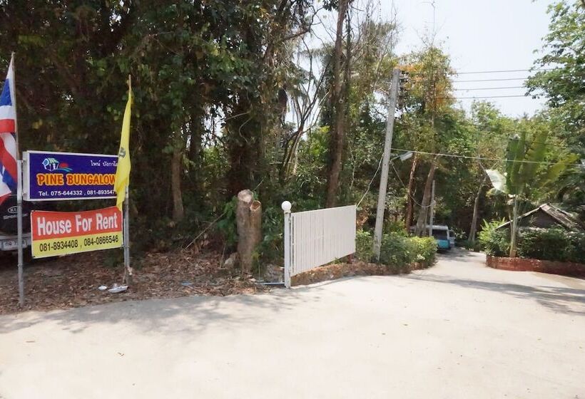 酒店 Pine Bungalow