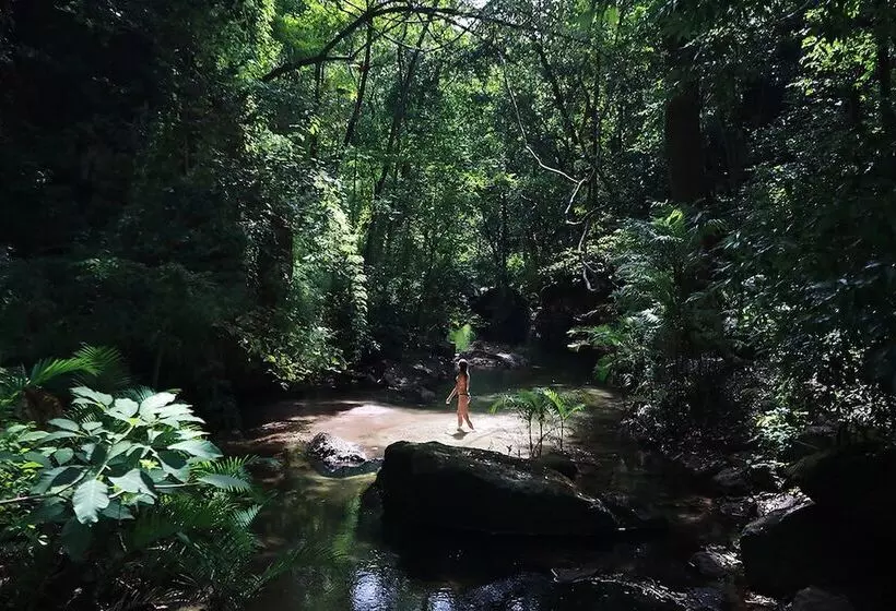 Rio Perdido Hotel & Thermal River