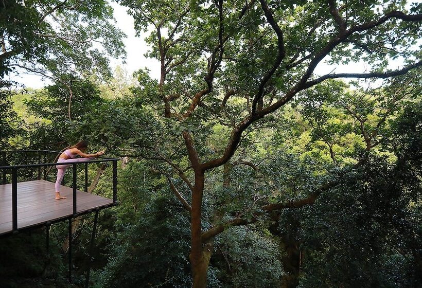 Rio Perdido Hotel & Thermal River