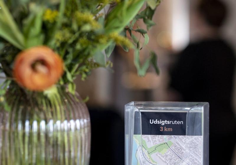 בית מלון כפרי Skanderborg Park