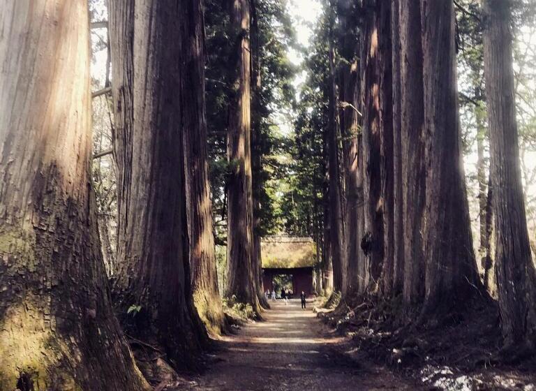 בית מלון כפרי Tsubakino