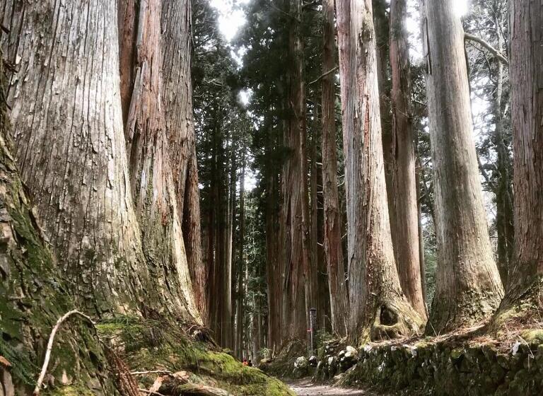 בית מלון כפרי Tsubakino