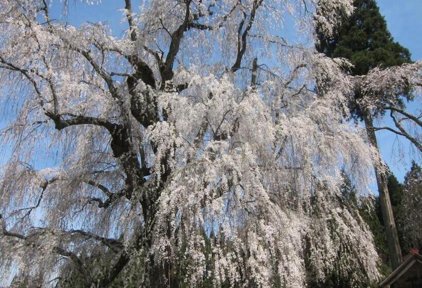 בית מלון כפרי Tsubakino