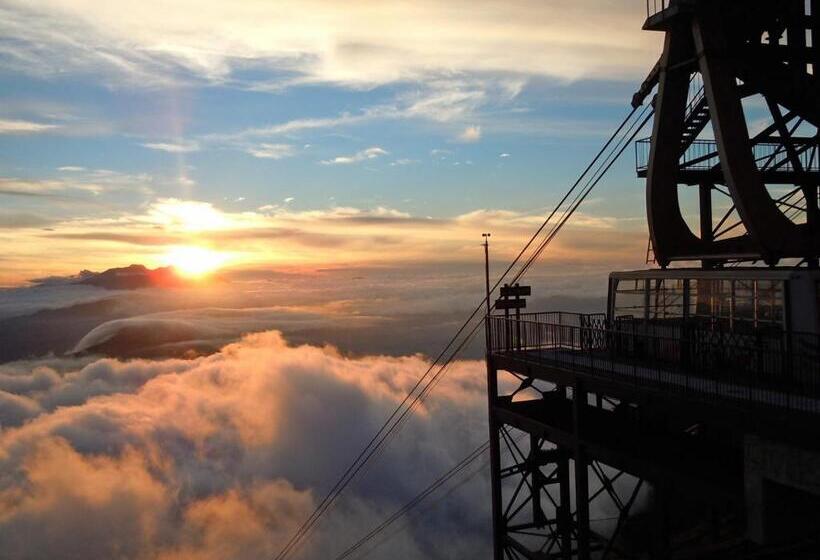 בית מלון כפרי Tsubakino