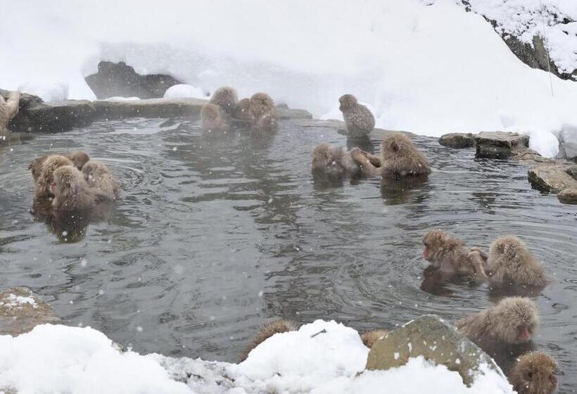 בית מלון כפרי Tsubakino