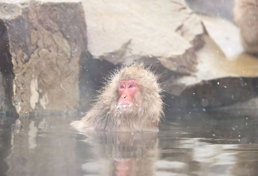 בית מלון כפרי Tsubakino