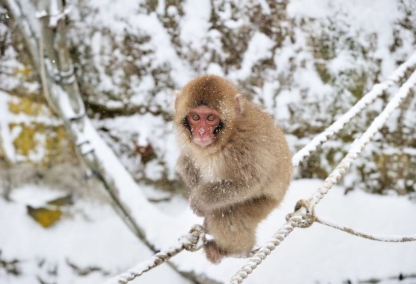 בית מלון כפרי Tsubakino